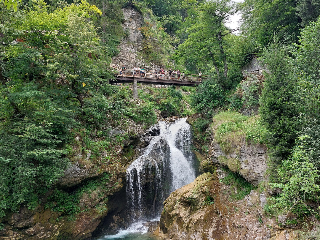 文特加峡谷（Soteska Vintgar）-Zgornje Gorje必去景点