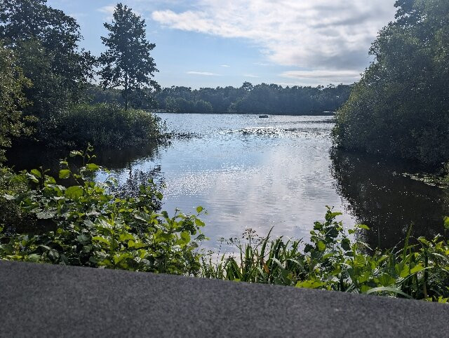 Mere Sands Wood Nature Reserve-Rufford必去景点