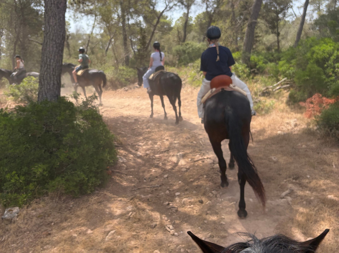 Rutas Equestres Menorca-休达德亚必去景点