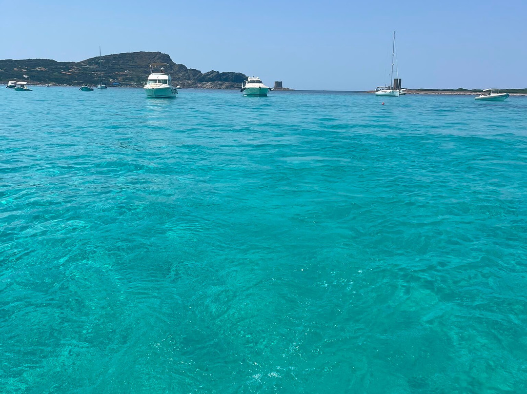Escursioni Alghero Asinara-阿尔盖罗必去景点