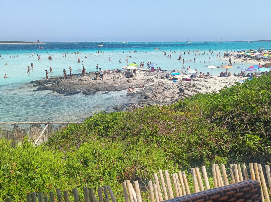 La Pelosa Beach-斯廷蒂诺必去景点