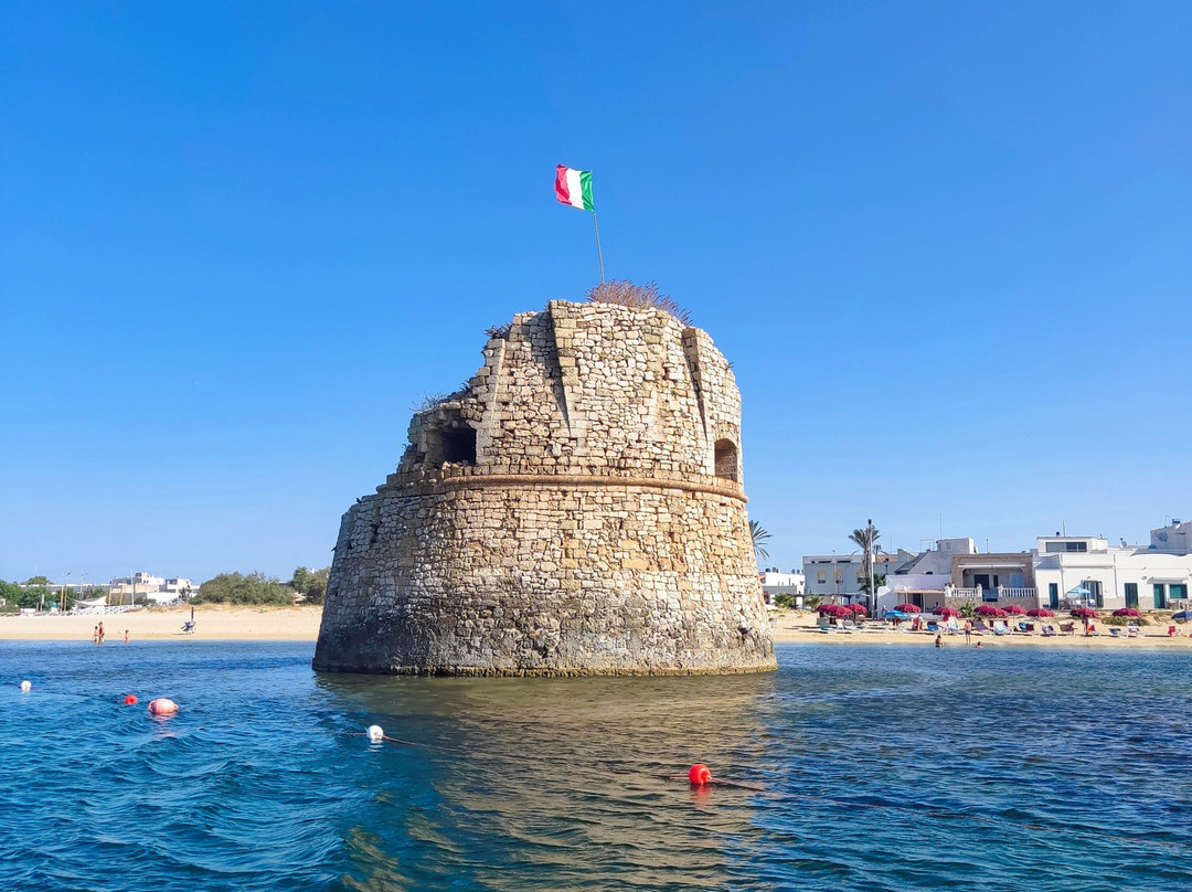 Escursioni Voglia Di Mare-Torre Pali必去景点