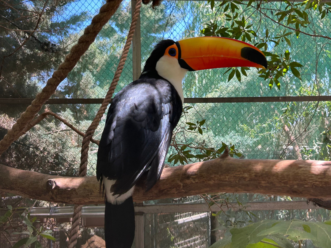 Amazonas Park-Kourounes必去景点