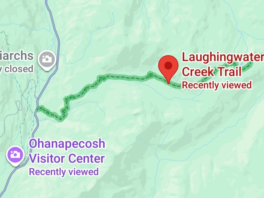 Laughing Creek Trail-Packwood必去景点