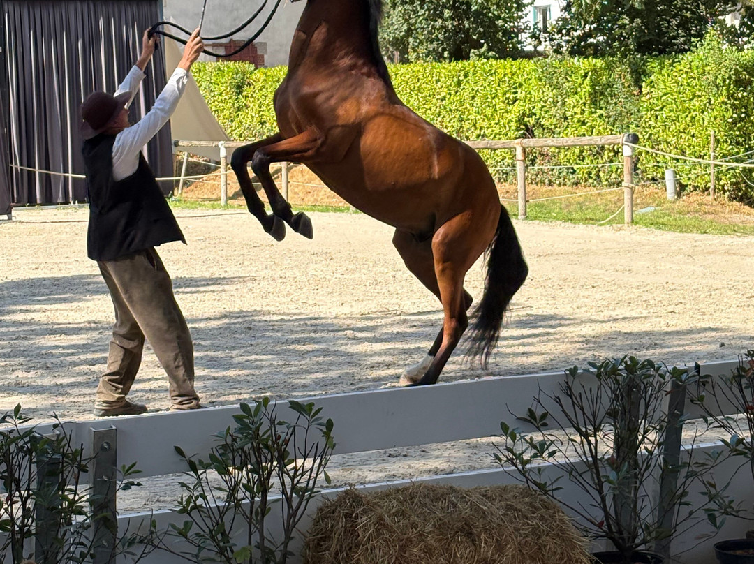 Haras De La Vendée-La Roche-sur-Yon必去景点