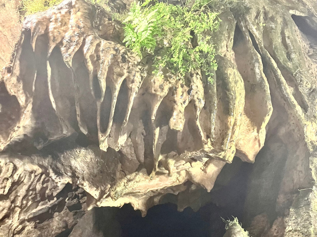La Grotte de Nichet-Fromelennes必去景点