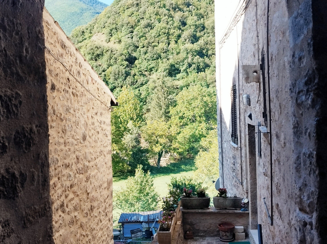 Museo delle Mummie - Centro di Documentazione Baronio Vincenzi-Borgo Cerreto必去景点