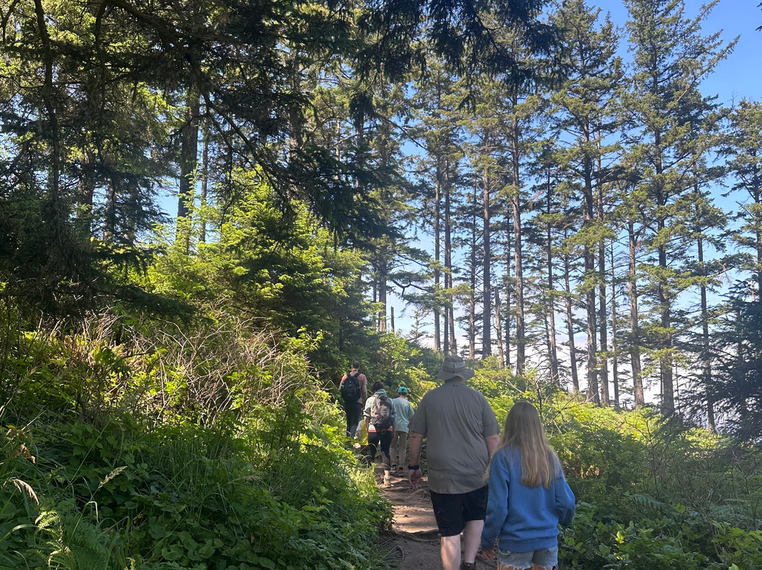 Oswald West State Park-坎农比奇必去景点
