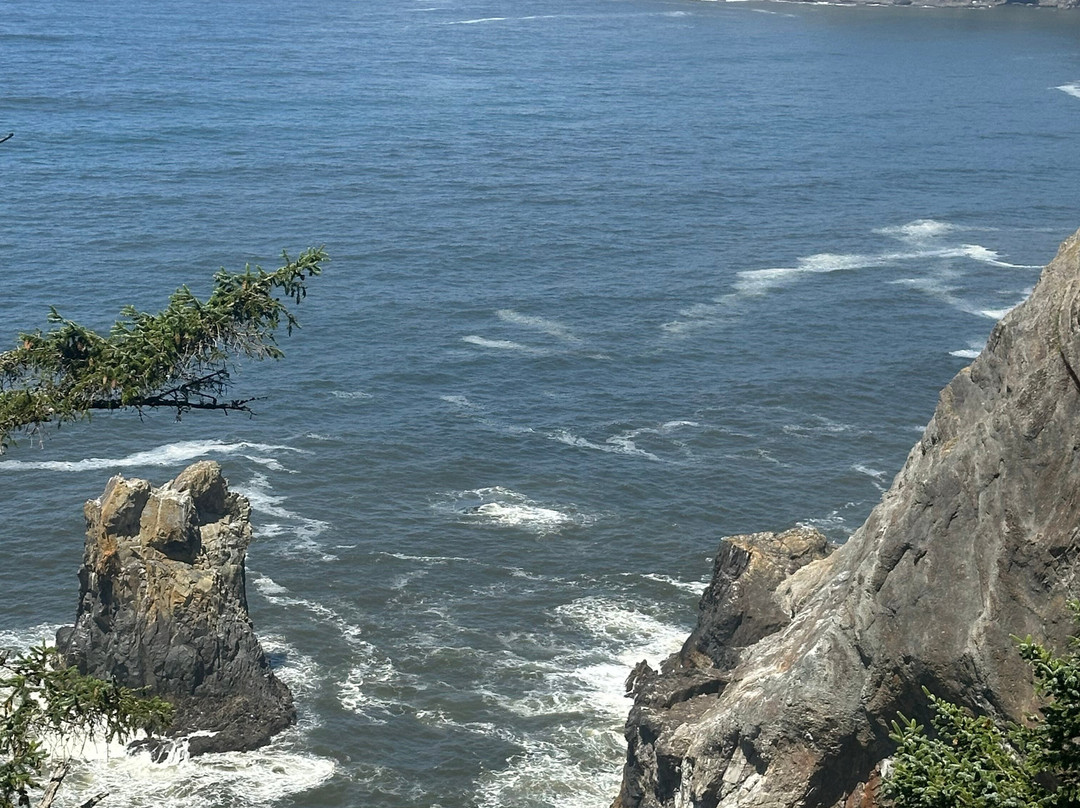 Oswald West State Park-坎农比奇必去景点