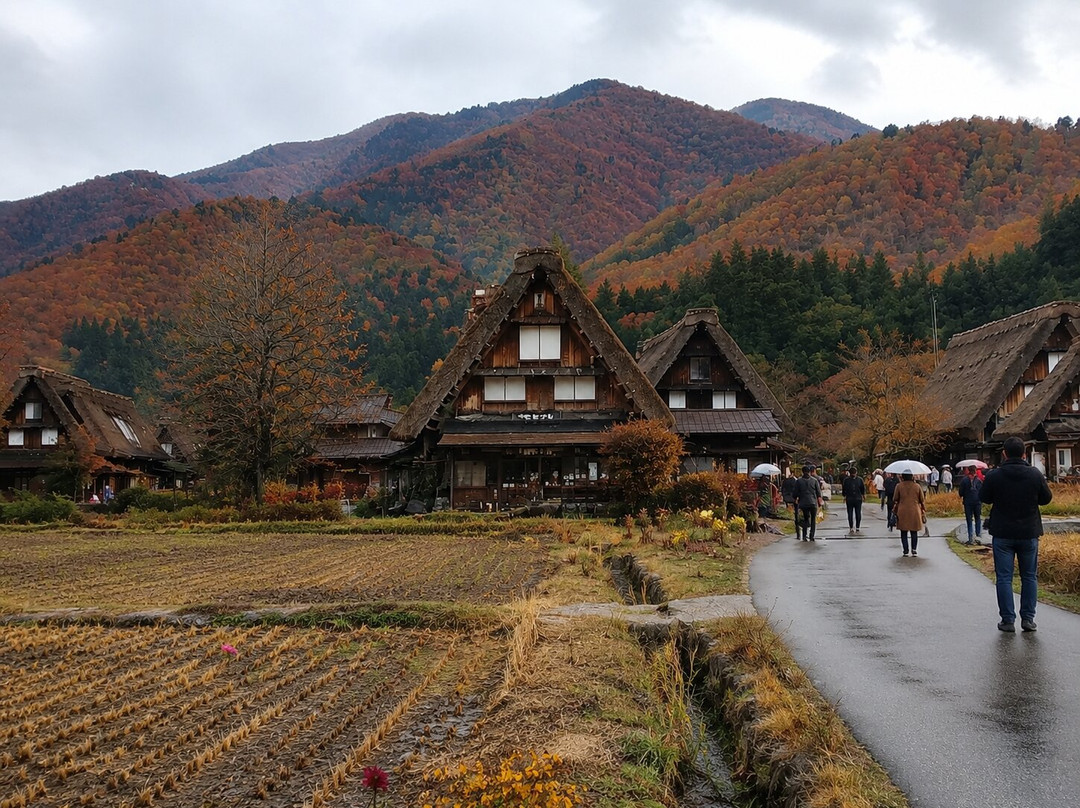世界遗产白川乡合掌屋-白川村必去景点
