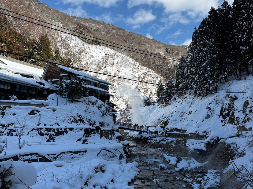 地狱谷雪猴公园-山之内町必去景点