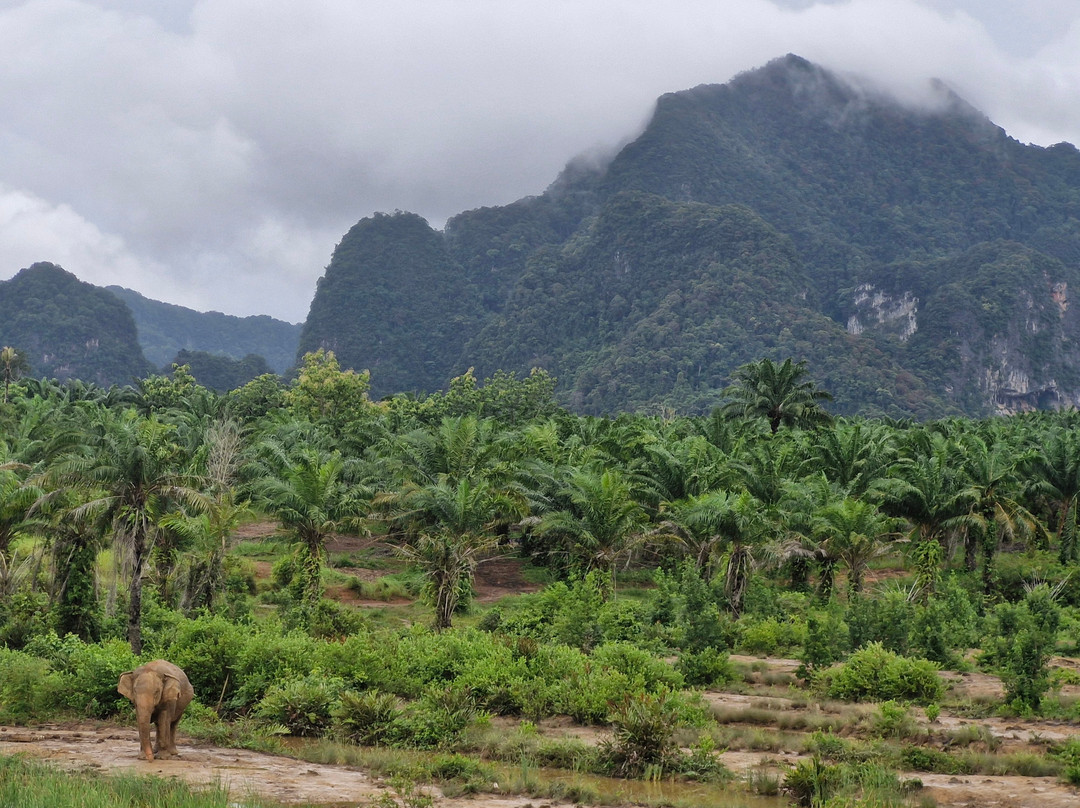 Following Giants - Krabi-Khlong Hin必去景点