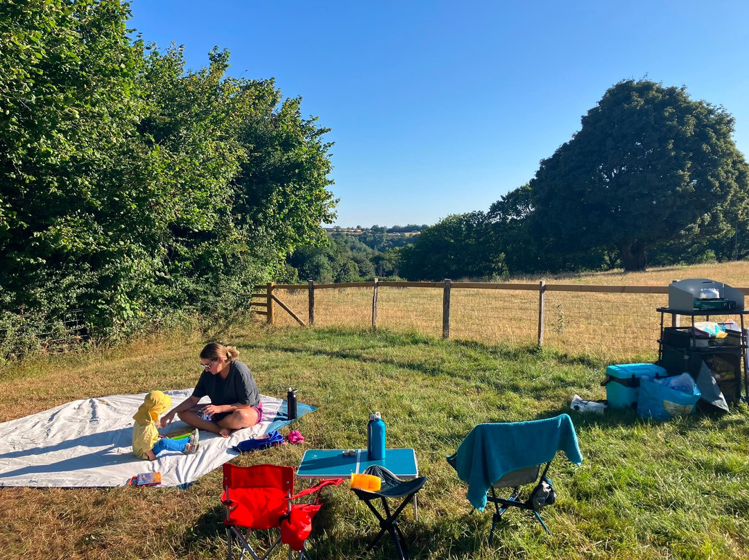 Sallywood Farm