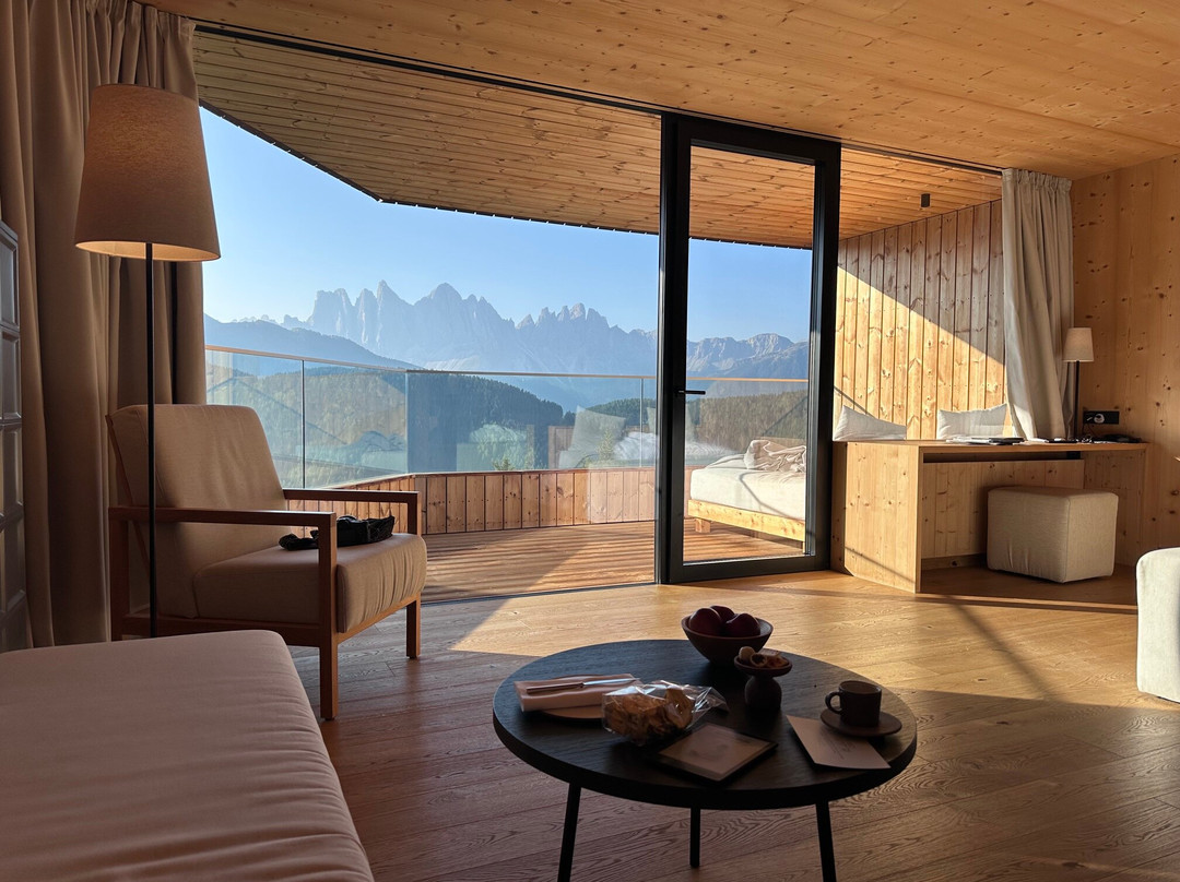 福雷斯蒂斯酒店Forestis Dolomites（意大利）主图