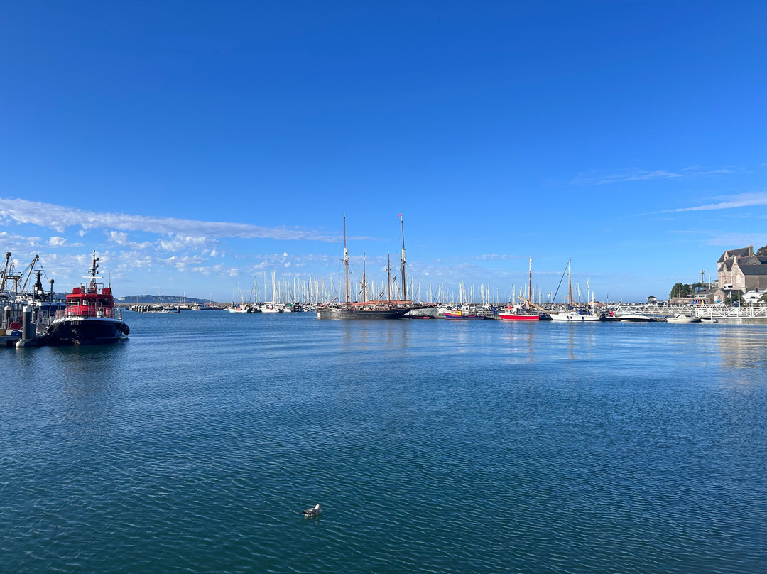 Brixham Harbour-布里克瑟姆必去景点