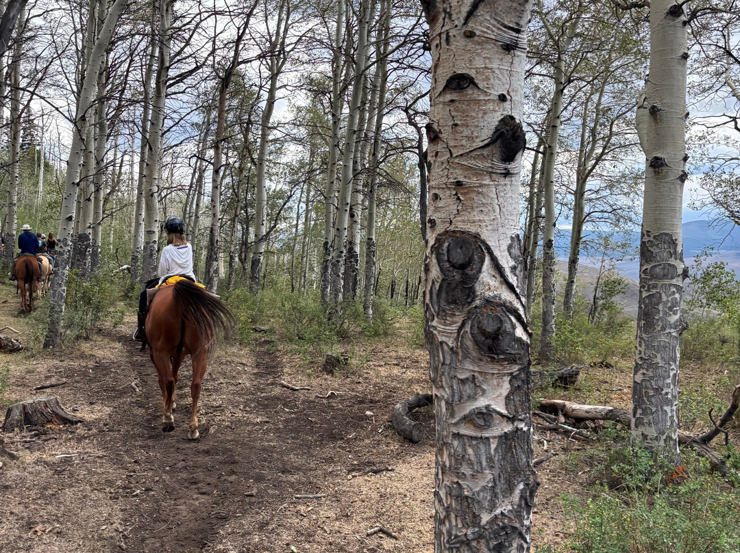 Rusty Spurr Ranch-Kremmling必去景点