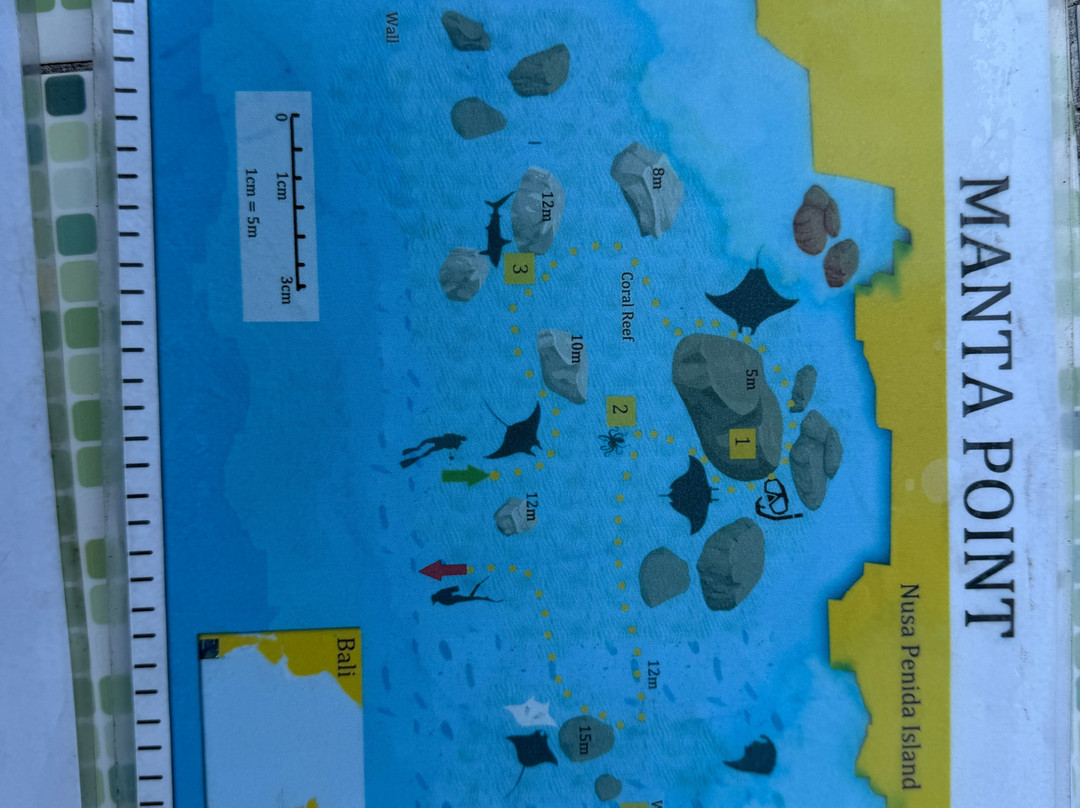 DPM Diving Nusa Penida-珀尼达岛必去景点