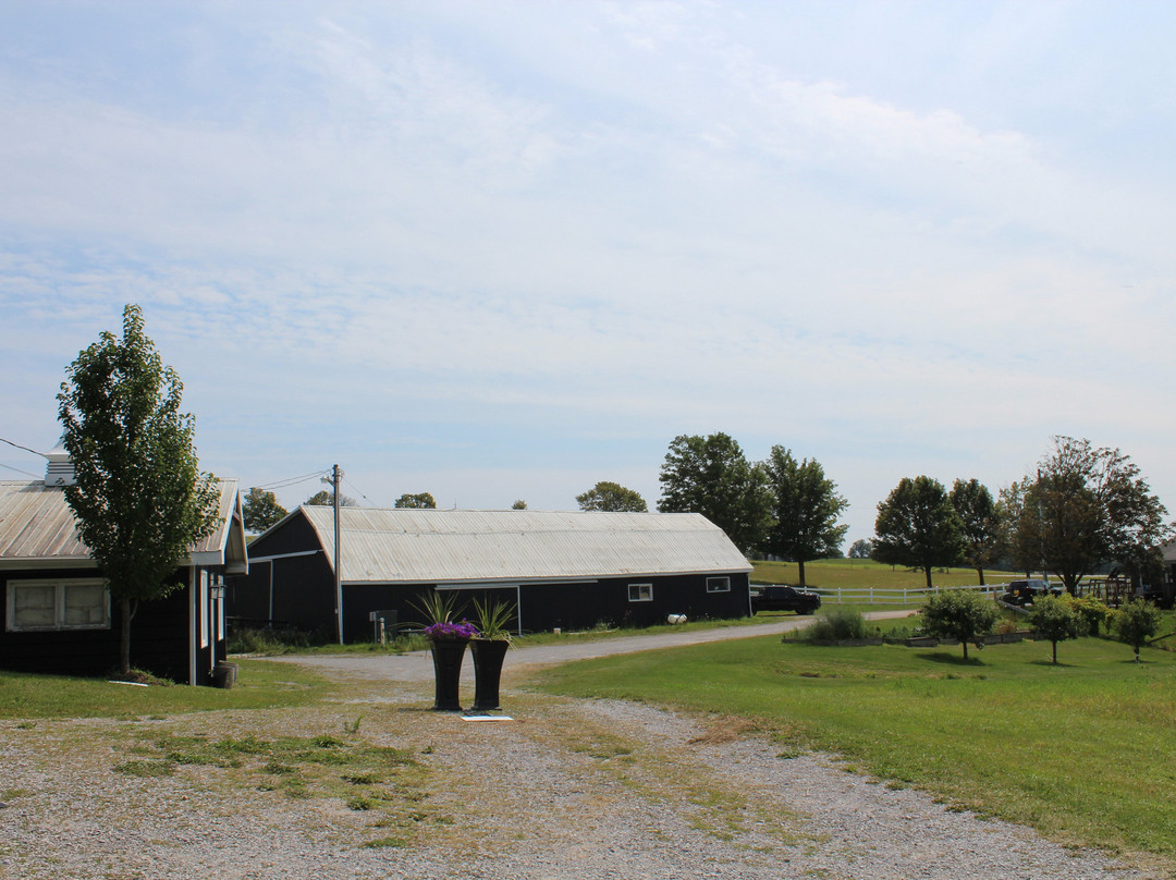 Gray Silo Lavender Farm-Port Perry必去景点