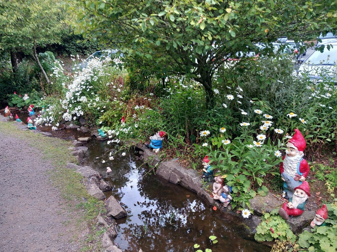 The Gnome Reserve-West Putford必去景点