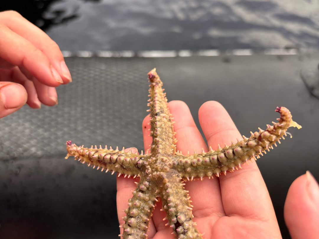 Bantry Sea Safari & Rentals-Bantry必去景点