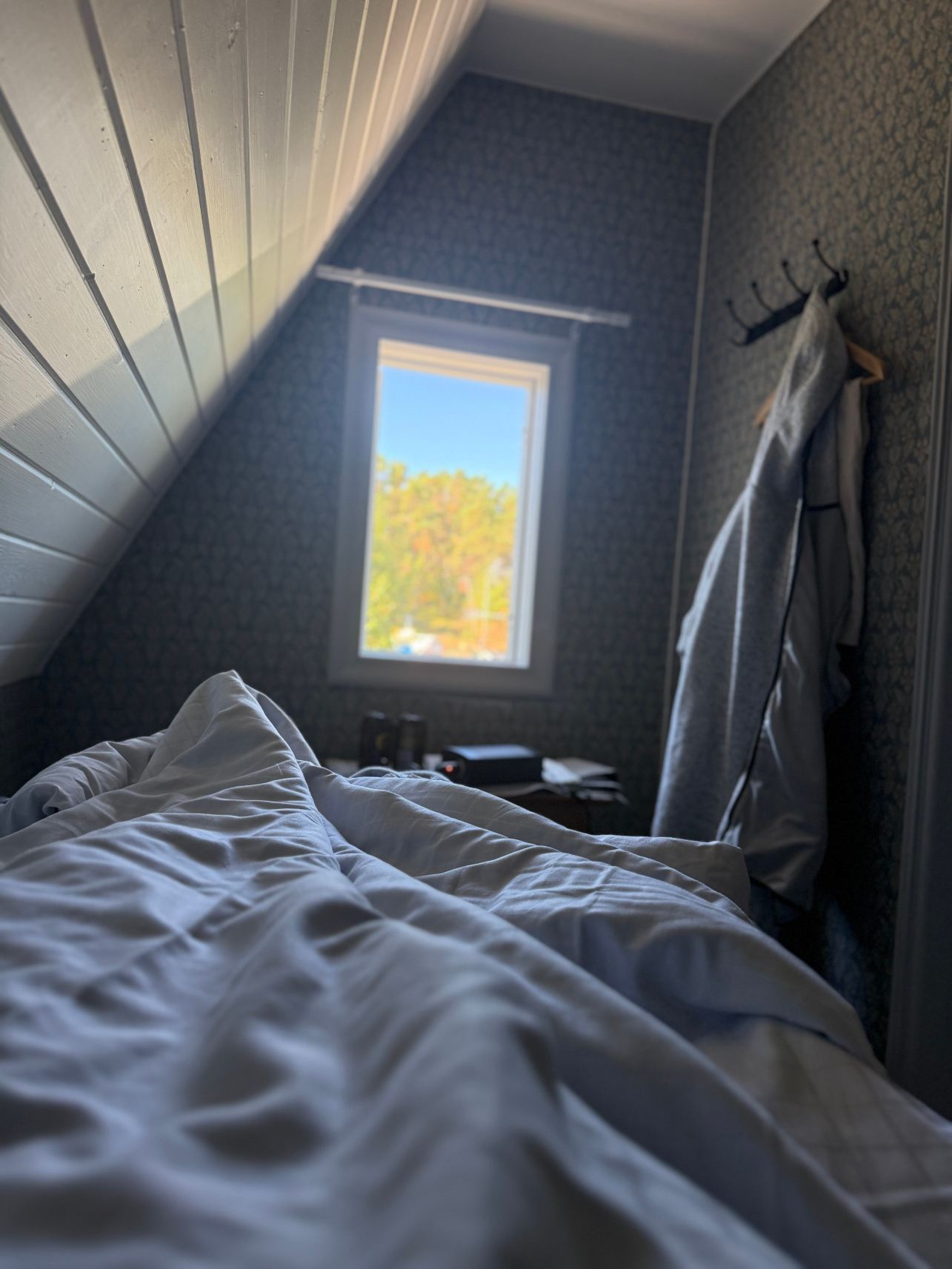 Pensionat Grisslehamn-旅行者