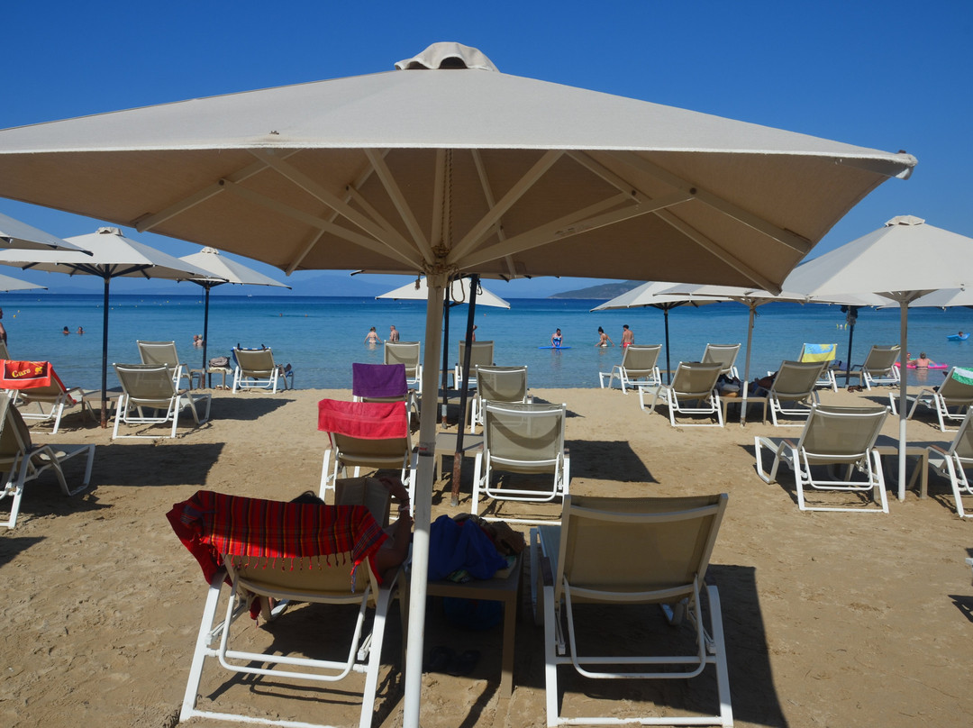 Kalogrias Beach-Stoupa必去景点