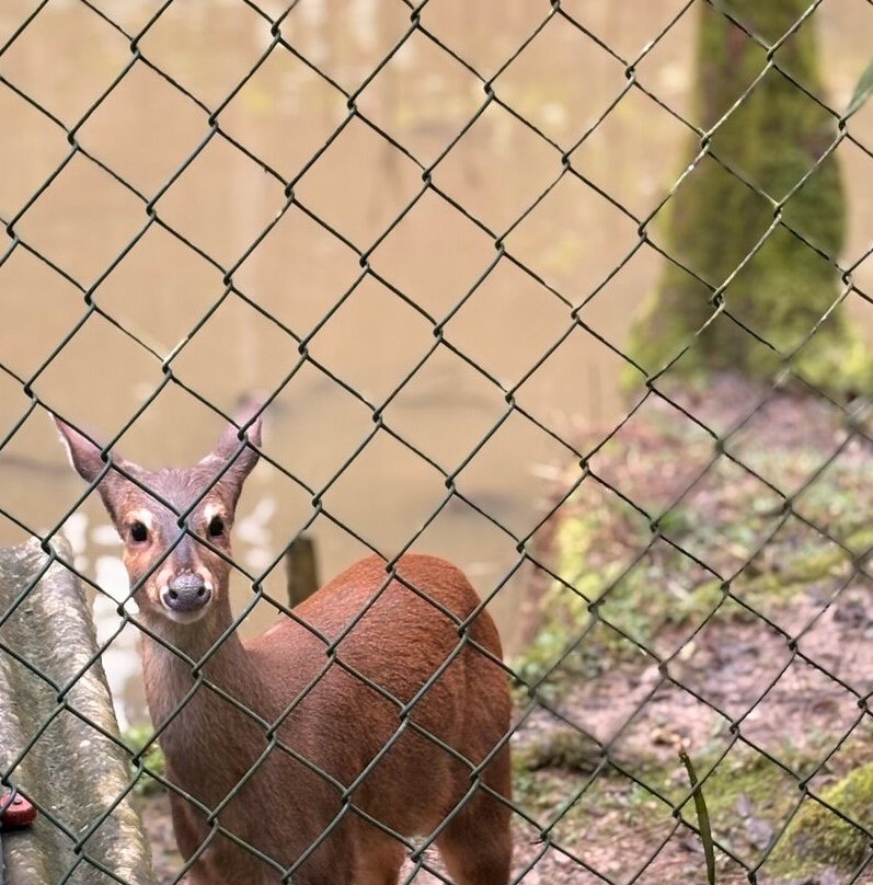 Parque Zoobotanico de Brusque-Brusque必去景点