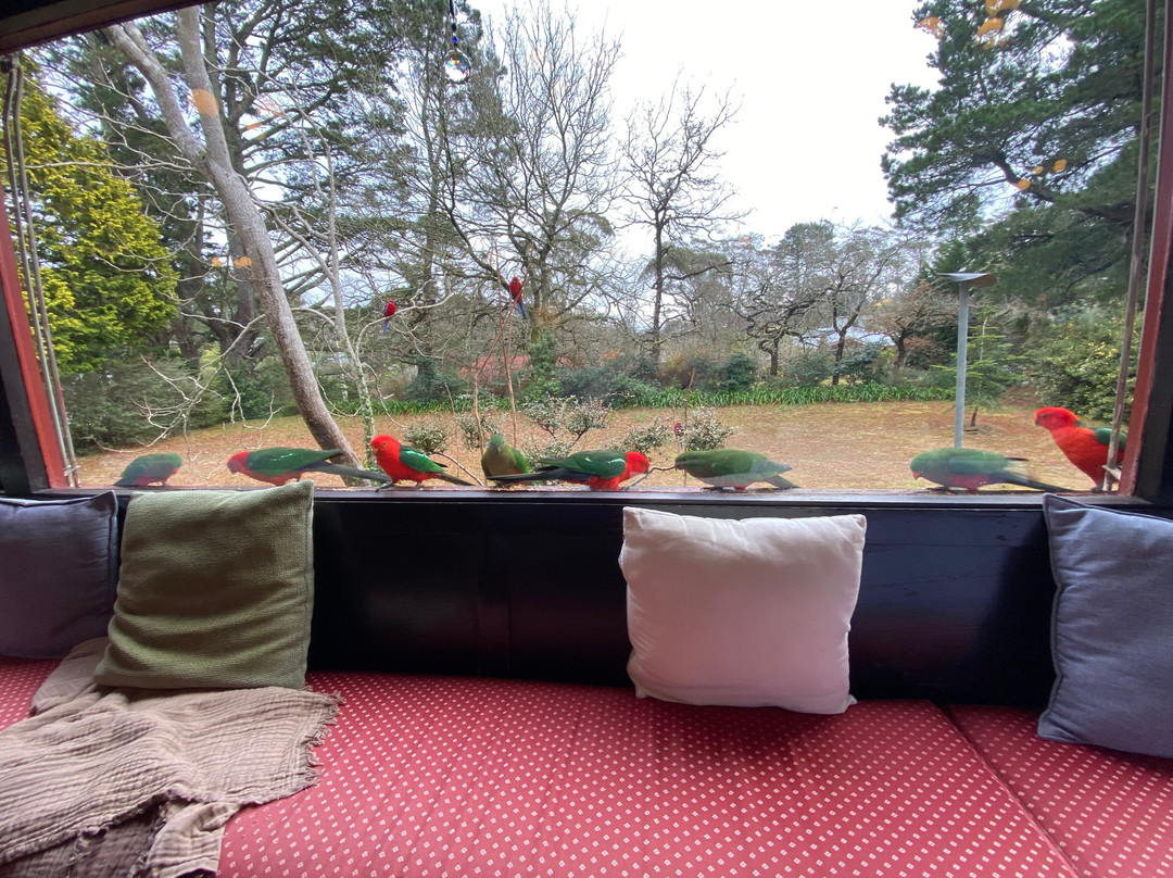 木屋旅馆及公寓主图