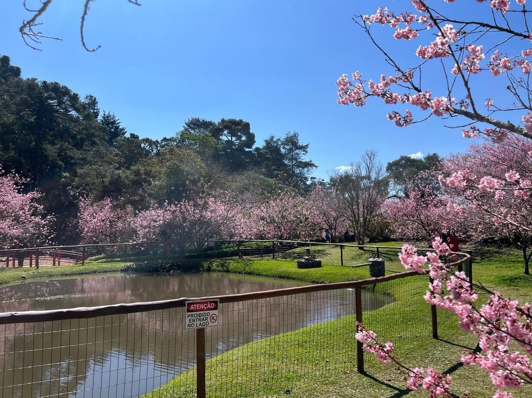 Parque das Cerejeira-坎普斯－杜若尔当必去景点