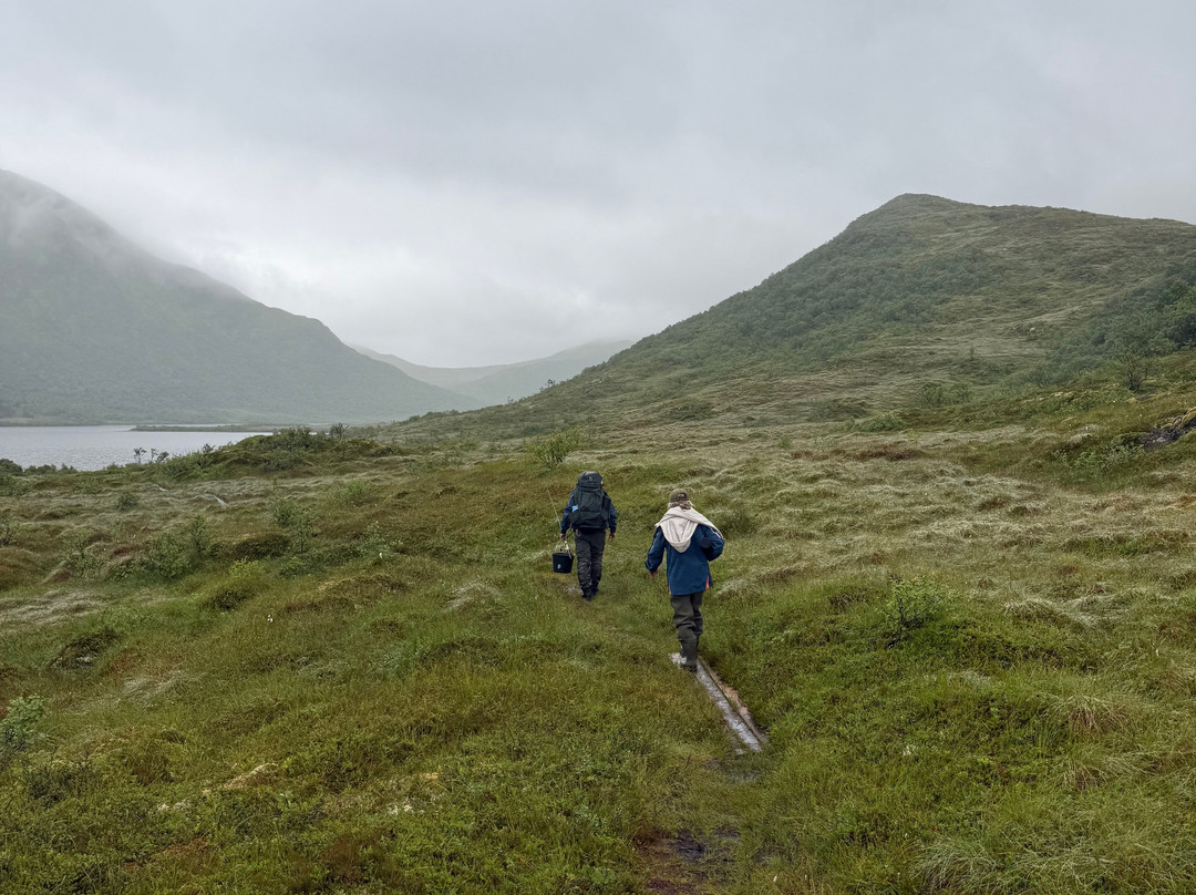 Hooked On Lofoten-Kabelvag必去景点