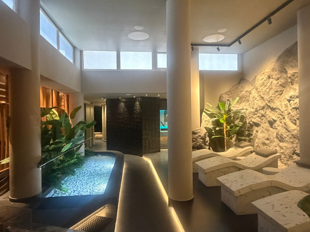 帕罗斯阿格南提 Spa 度假村酒店主图
