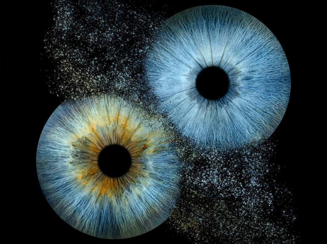 Iris Galerie Gent
