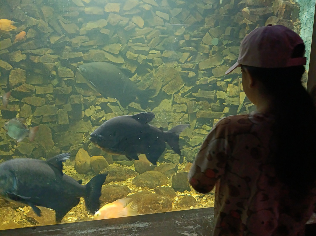 Zoo De Lillo-Lillo必去景点