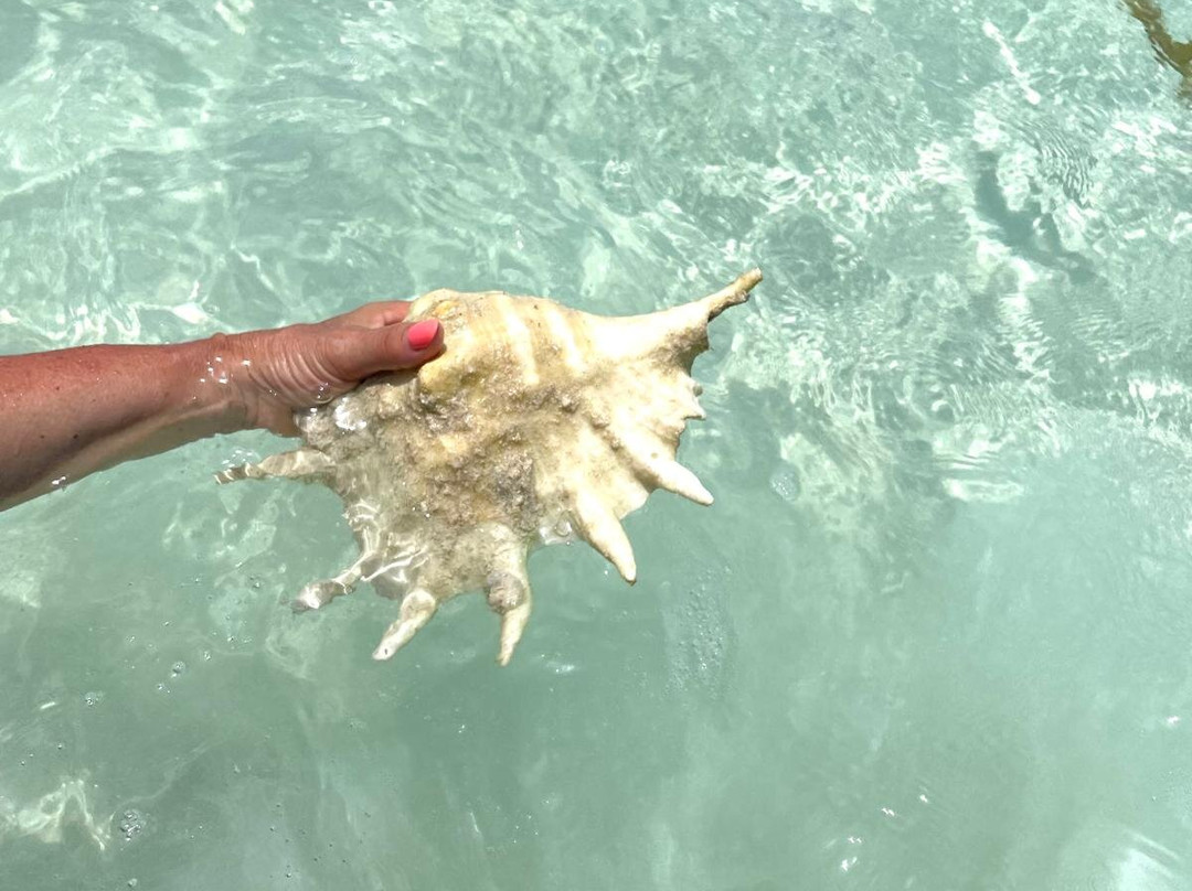 Planet Spa at Lahami Bay-马萨阿拉姆必去景点