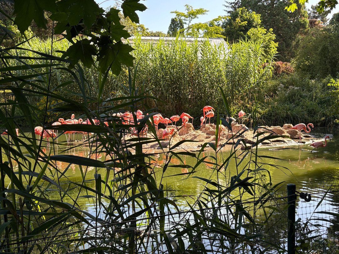 Zoo Heidelberg-海德尔堡必去景点