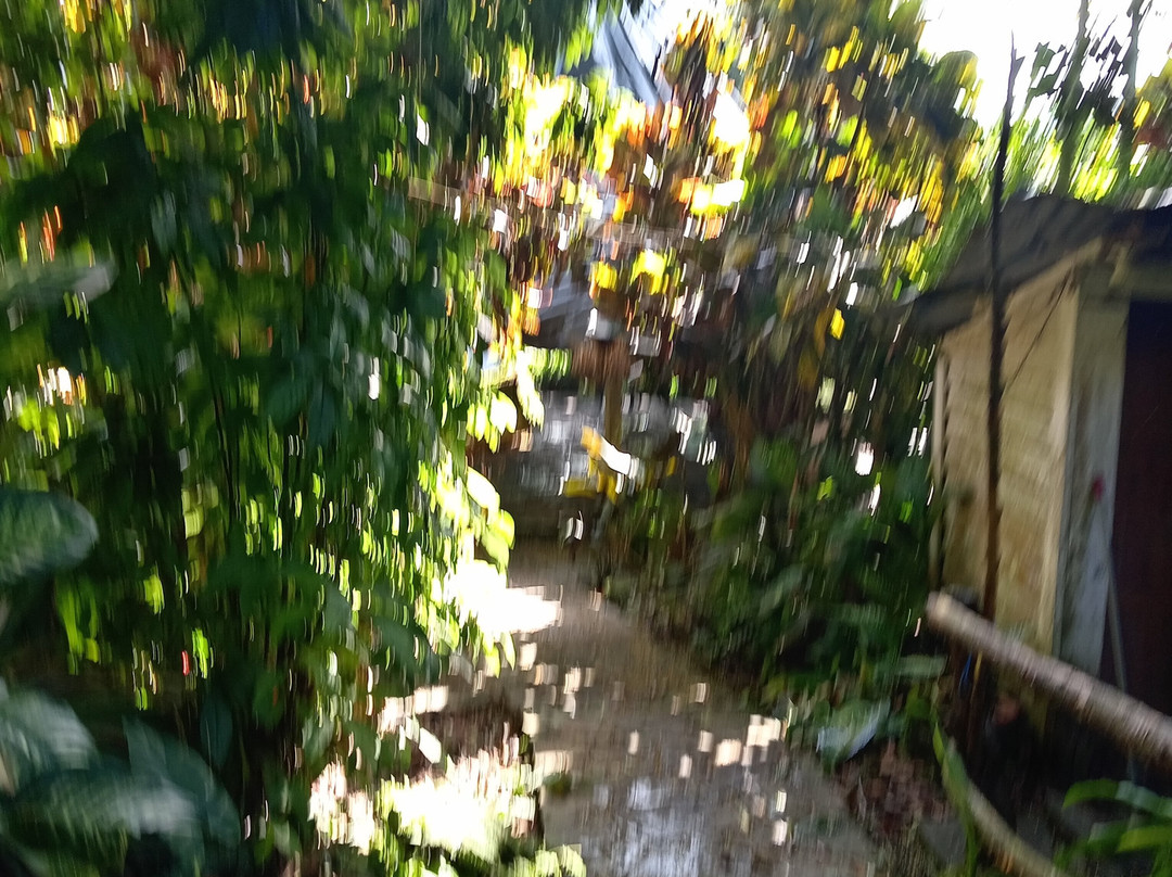 Hotel Finca Santa Monica主图