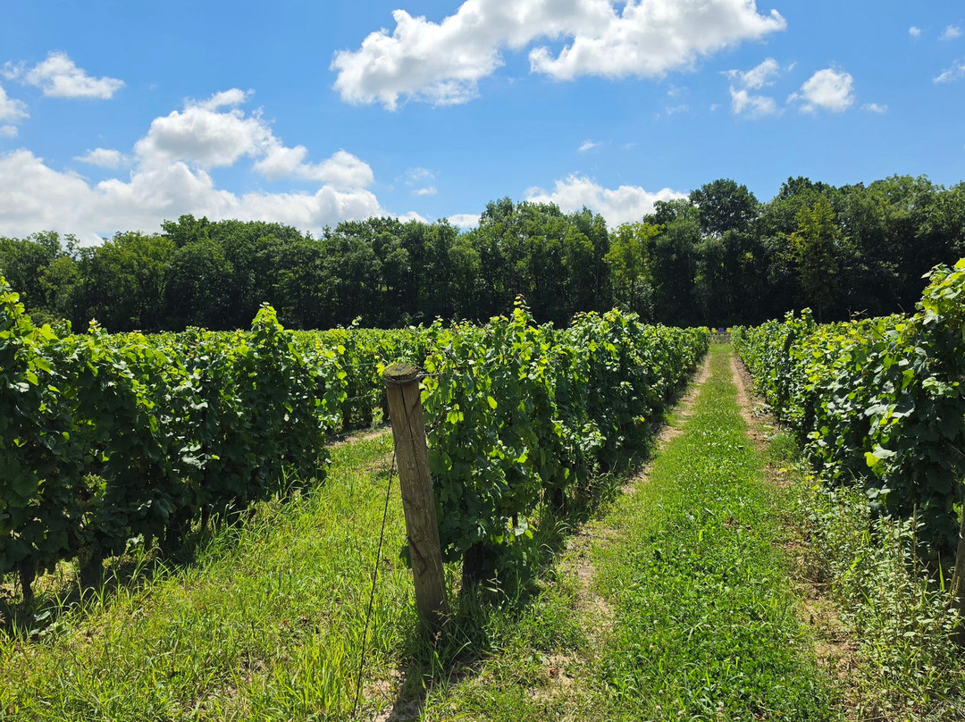 Château Des Charmes Winery-滨湖尼亚加拉必去景点