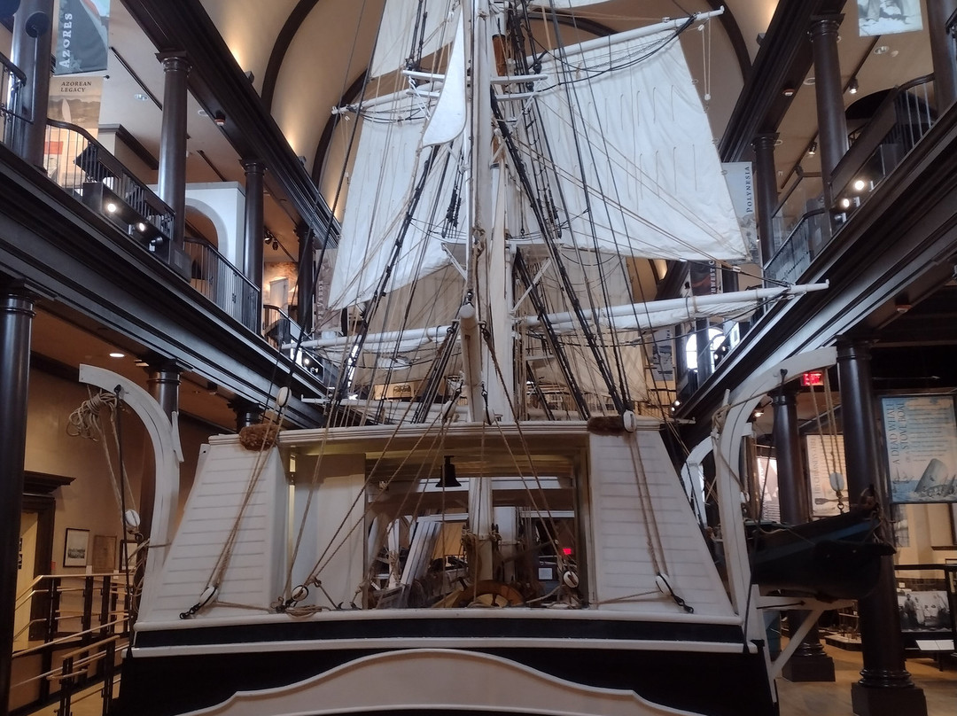New Bedford Whaling Museum-新贝德福德必去景点