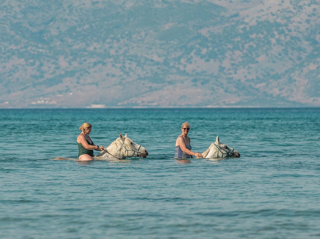 North Corfu Horses-Peritheia必去景点