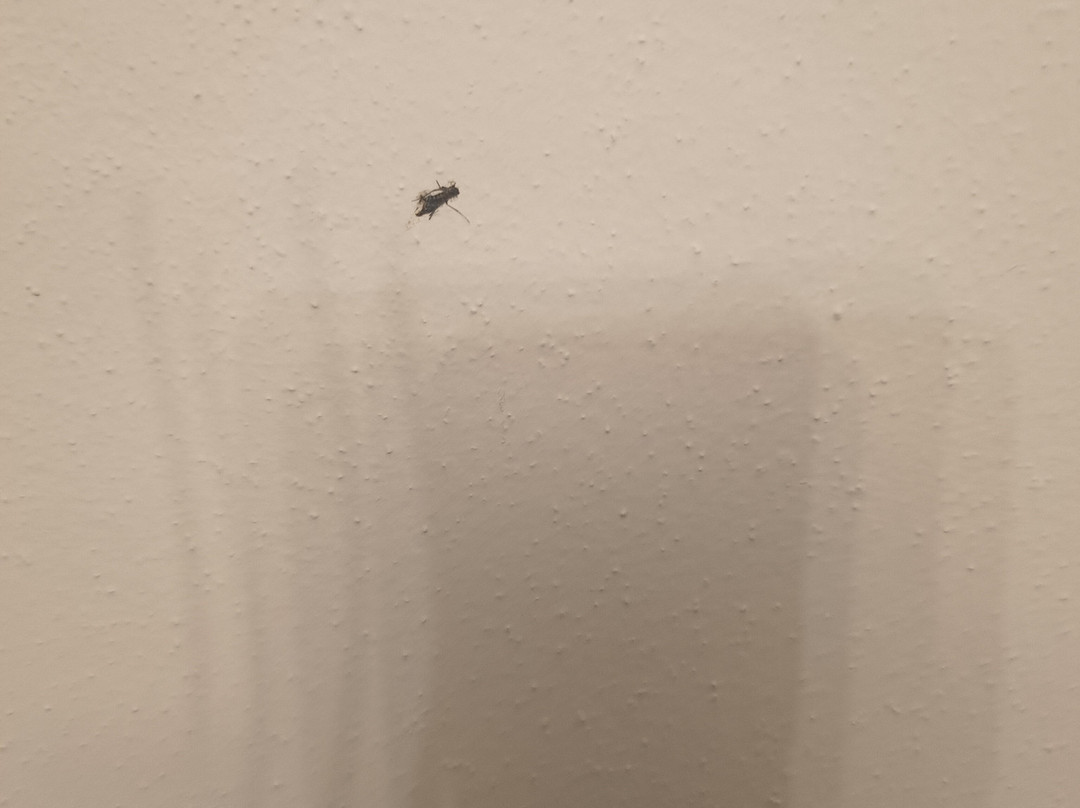 马蒂尔德希纳酒店主图