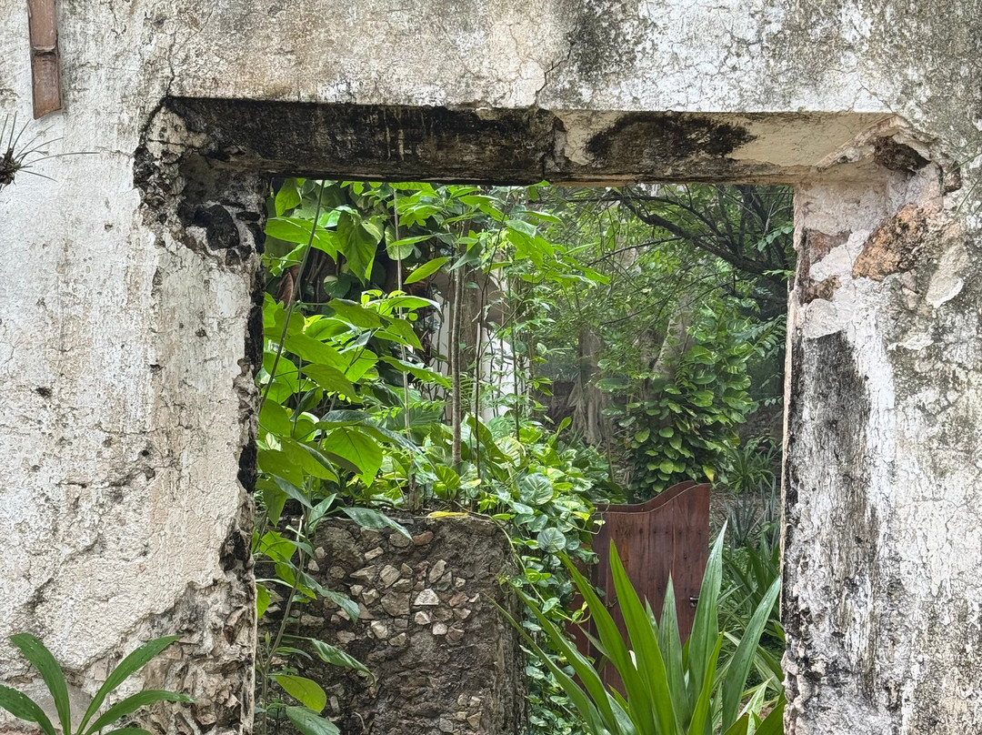 Destino Mío Mayan Jungle Retreat主图