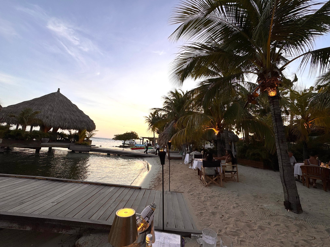 Aruba Ocean Villas主图