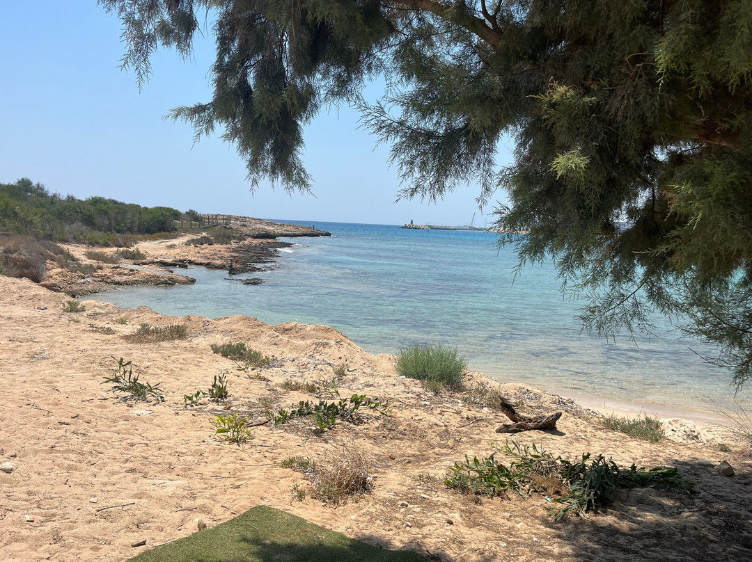 Makronissos Beach-阿依纳帕必去景点