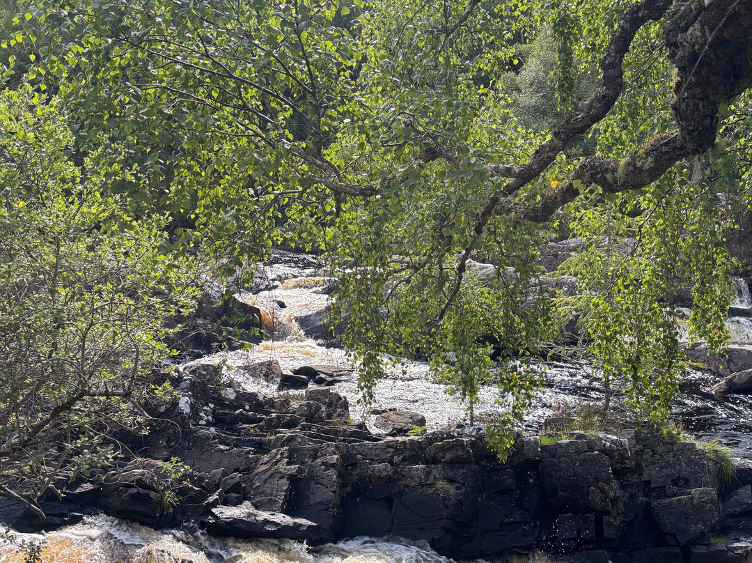 Rogie Falls-Contin必去景点