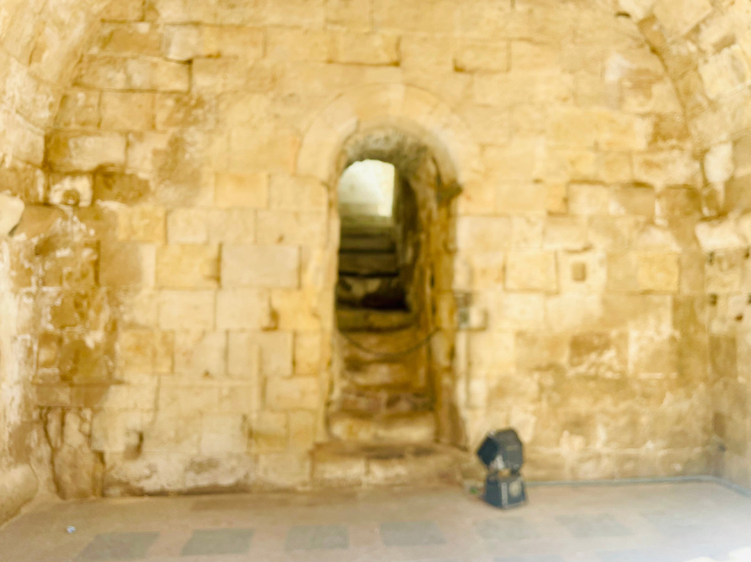 Cueva de Salamanca-萨拉曼卡必去景点