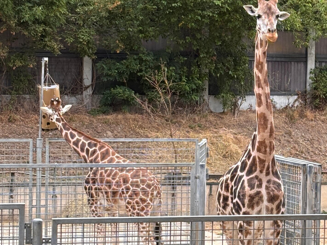 ZOO Bratislava-布拉迪斯拉发必去景点