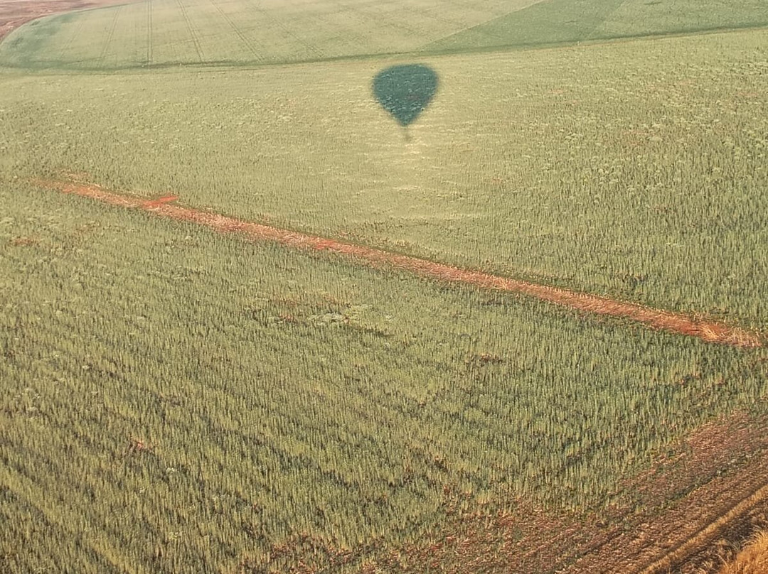 Drakensberg Ballooning-温特顿必去景点