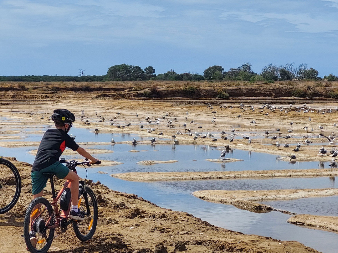 Algarve Cycling-法罗必去景点