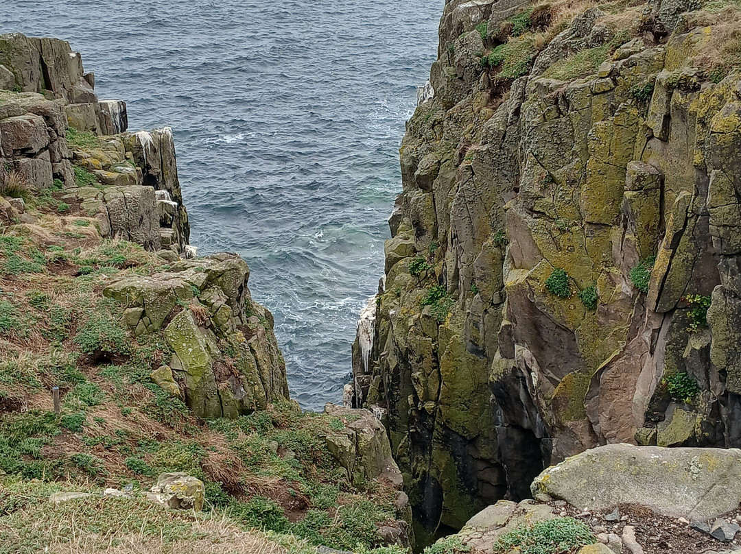 Anstruther Pleasure Cruises-Boat Day Tours-Anstruther必去景点