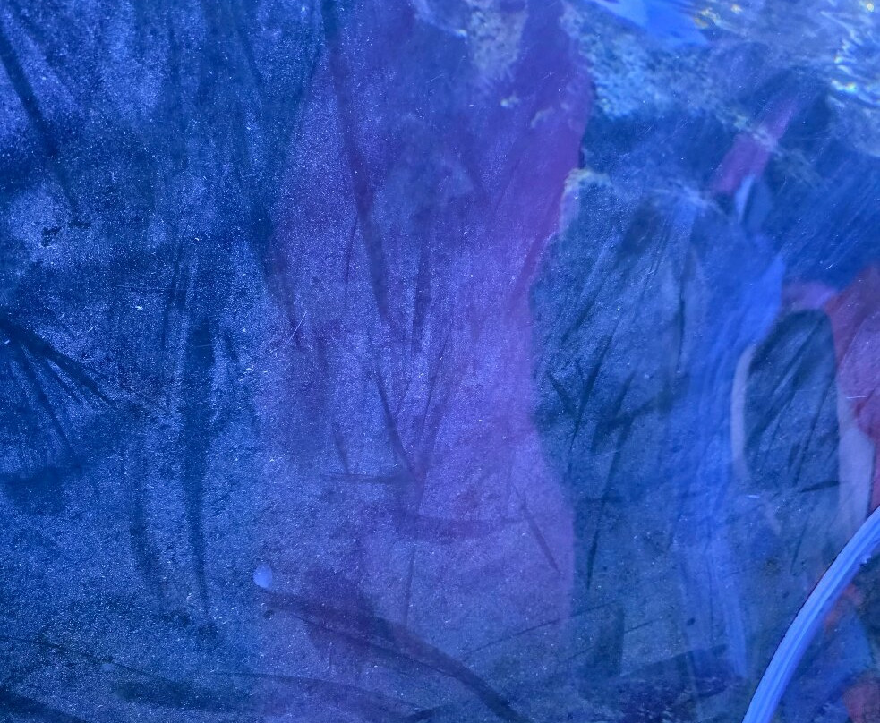 Blue Planet Aquarium-埃尔斯米尔港必去景点